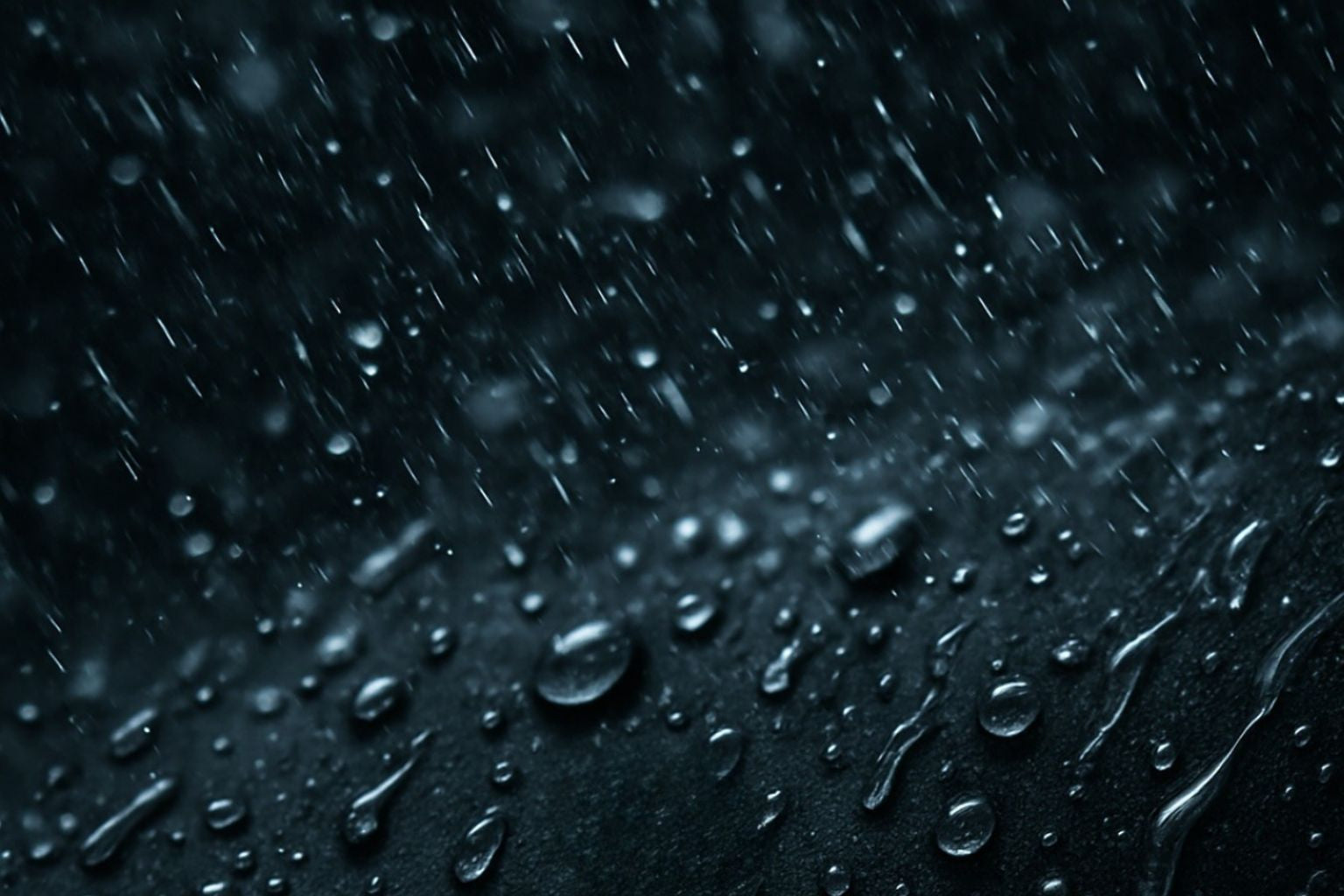 Black Edition : une gamme en édition limitée chez TOMO Clothing