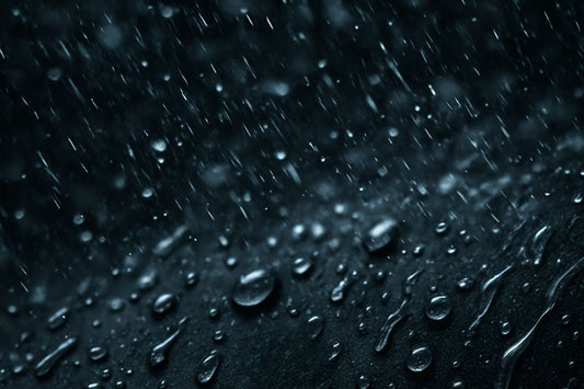 Black Edition : une gamme en édition limitée chez TOMO Clothing